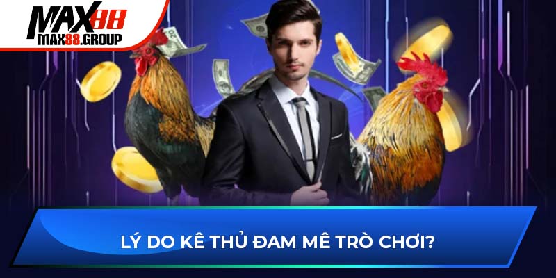 Lý do kê thủ đam mê đá gà MAX88